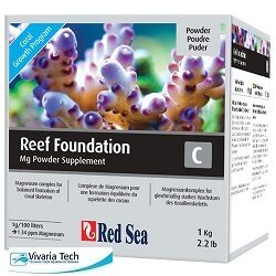 Red sea reef foundation C