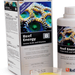 red sea reef energy b