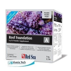 Red Sea reef foundation A
